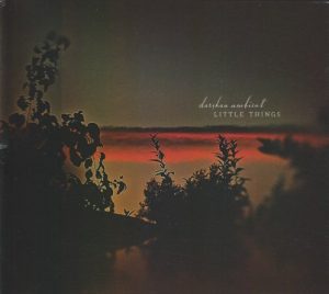 Darshan Ambient - Little Things