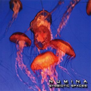 Numina - Symbiotic Spaces