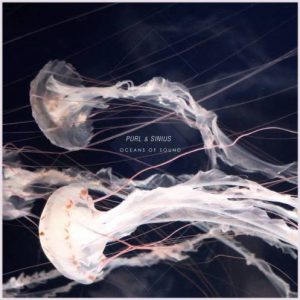 Purl & Sinius - Oceans of Sound