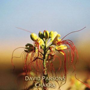 David Parsons - Chakra