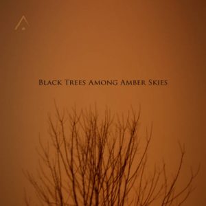 Altus - Black Trees Among Amber Skies