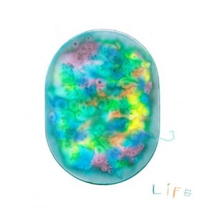 Ambientium - Life