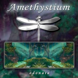 Amethystium - Odonata