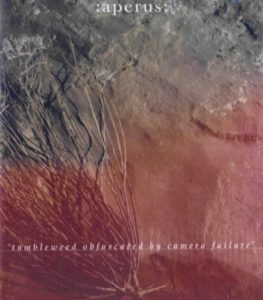 Aperus - Tumbleweed obfuscated by camera failure