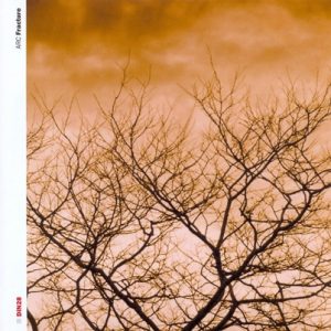 Arc - Fracture