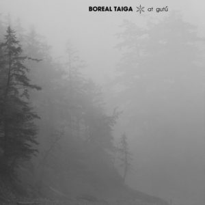 Boreal Taiga - At Gutú