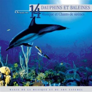 Vincent Bruley - Dauphins et Baleines