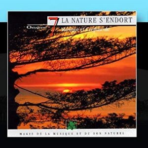 Vincent Bruley - La Nature s'endort