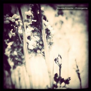 Vauxia Errante - Primigenia