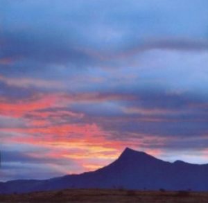 Havdis - Novemberlys