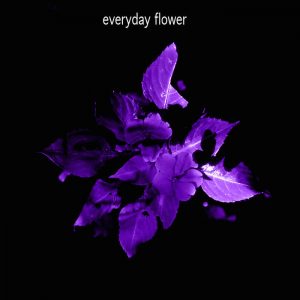 Boris Lelong - Everyday Flower