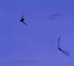 Pan Electric - Concious Pilot