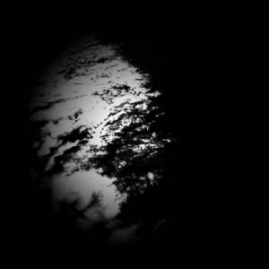 Particle Image Velocimetry - Molecule Assembler