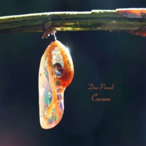 Dan Pound - Cocoon