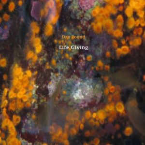 Dan Pound - Life Giving