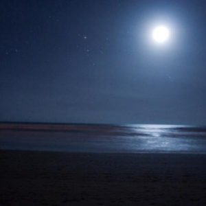 Procer Veneficus - Saltwater & Glassmoon