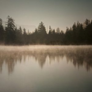 Purl - Deep Ground
