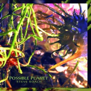 Steve Roach - Possible Planet