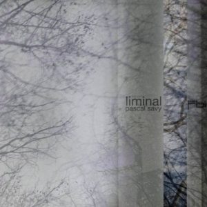 Pascal Savy - Liminal