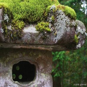 Silentwave - Daiyuzan