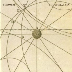 Telomere - The Stellar Sea