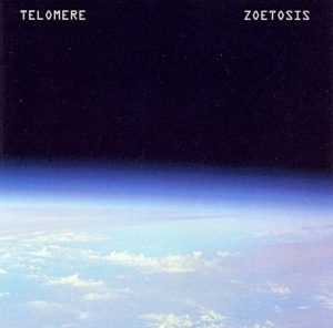 Telomere - Zoetosis