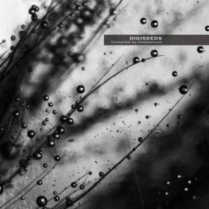 Various Artists - Digiseeds