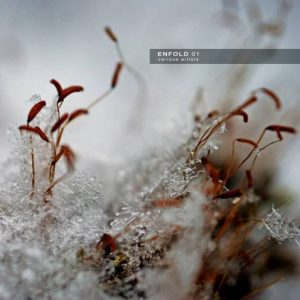 Various Artists - Enfold 01
