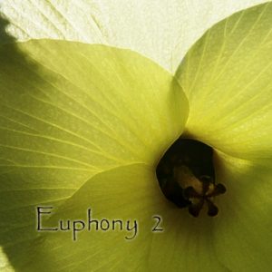 Various Artists - Euphony 2