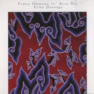 Vidna Obmana & Alio Die - Echo Passage