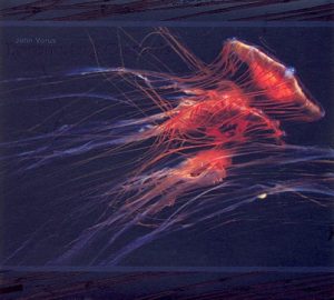 John Vorus - Transmuting Currents