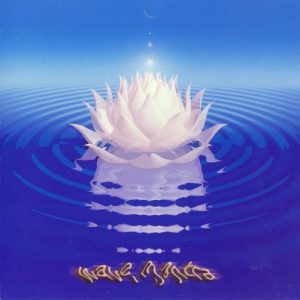 Sean Washburn - Wave Mantra