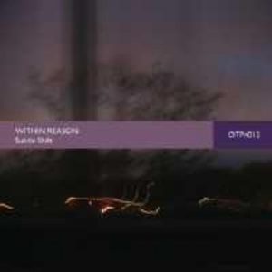 Within Reason - Subtle Shift
