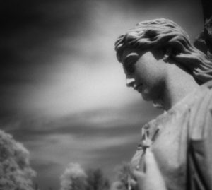 Chuck Van Zyl - MemorySpace