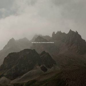 Parallel Worlds -Tonal Paintings