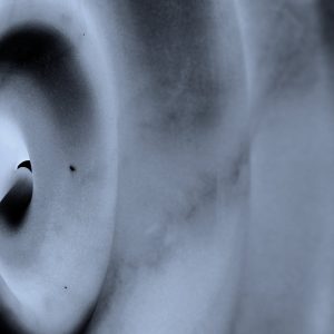 D’Voxx - Télégraph