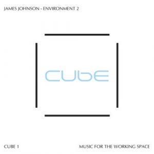 James Johnson - Environment 2
