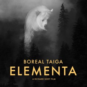 Boreal Taiga - Elementa Soundtrack