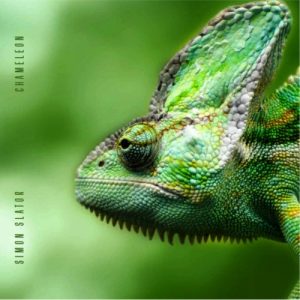 Simon Slator - Chameleon