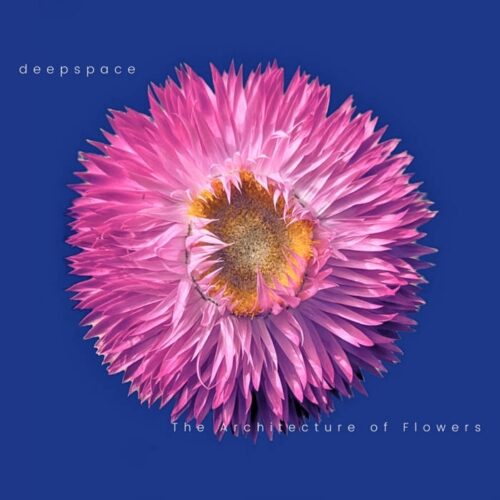 Deepspace - The Architecture of Flowers